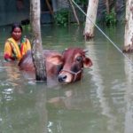 বাংলাদেশের বন্যার কারণ ও প্রতিকার