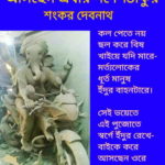 ছবি দেখা ছড়া লেখা ২