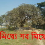 মিথ্যে সব মিথ্যে