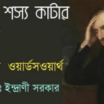 অনুবাদ কবিতাঃ একাকী শস্য কাটার মেয়েটি