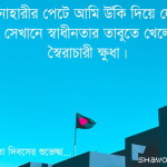 স্বাধীনতা আজকাল