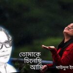 তোমাকে চিনেছি আমি