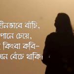 তোমায় নিয়ে বাঁচি